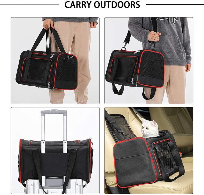 Customize OEM ODM 2022 Folding Transport Carrier Pet Backpack