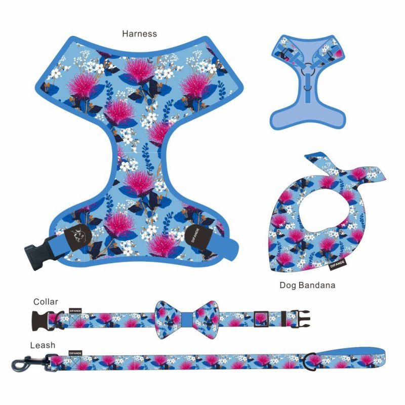 Manufacturer Wholesale Eco-Friendly Organic Polyester Nylon Dog Collar Harness with Leash Set