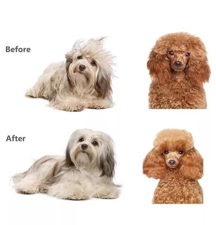 Pet Dematting and Detangling Comb Self-Cleaning Brushes Dog Cat Hair Remover Brush for Shedding and Grooming Dog Slicker Brush