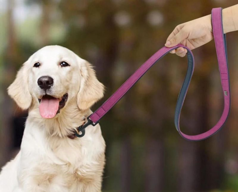 Pet Accessories Custom Dog Collars Durableluxury Soft PU Leather Personalized Pet Dog Tag Necklace Rope Leash Lead