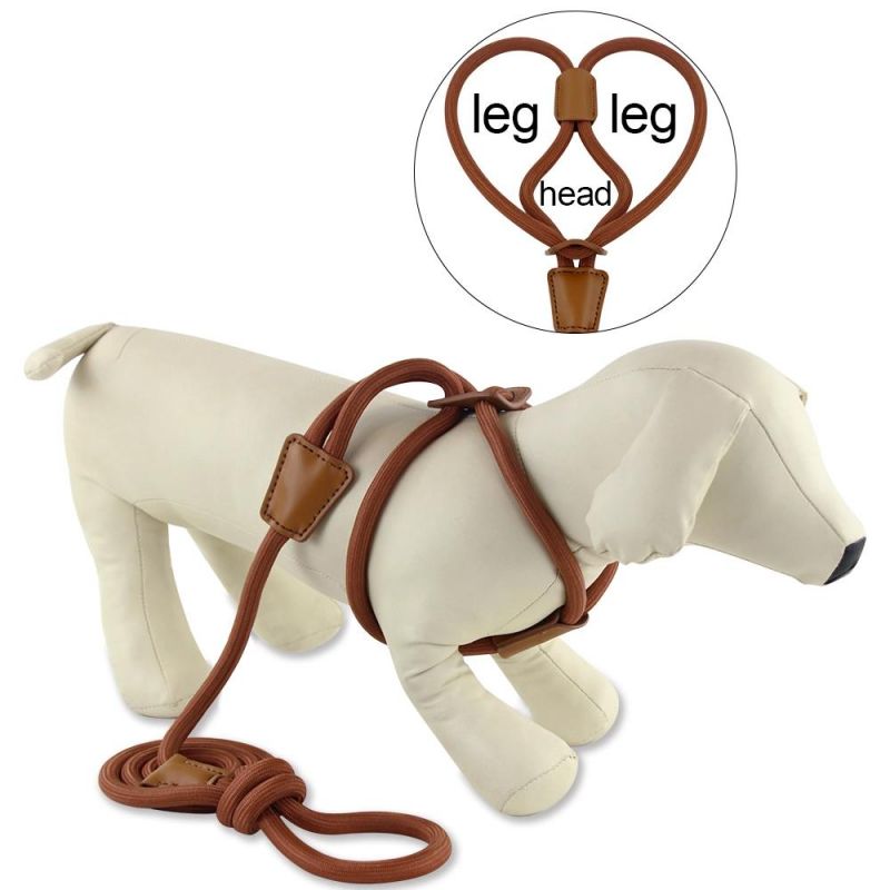 Hot Selling Fashion Rolled Leather Dog Harness Colorful Luxury Small Puppy Step-in Leash Set Dog Lead Rope Leash for Dog Walking