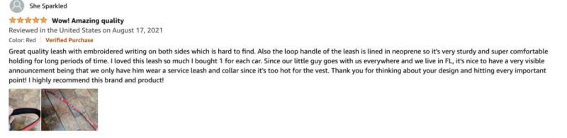More Than 10 Colors Customized Durable Nylon No-Pull Service Dog Leash-Red Color