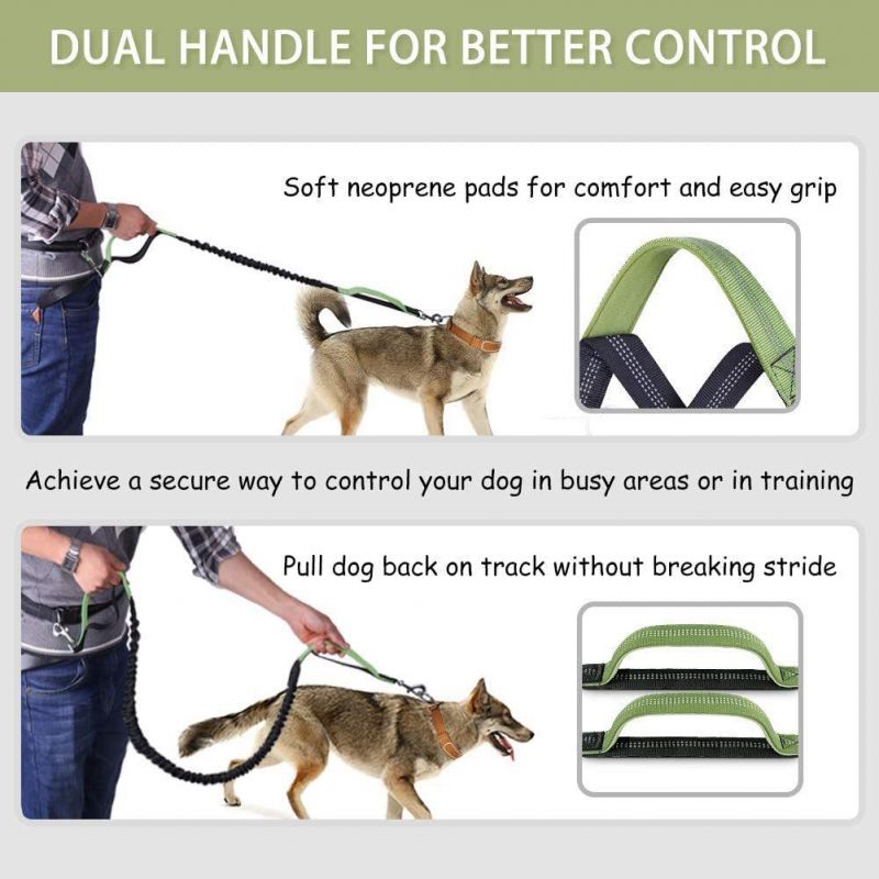 Hands Free Dog Leash for Running Walking Jogging Training Hiking