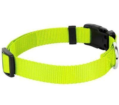 2022 OEM Manufacturer Nylon Webbing Solid Multicolor Pet Professional Supplier Pet Dog Collar