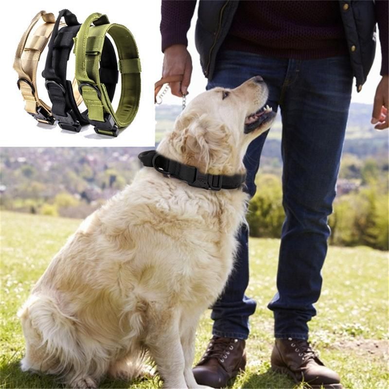 Durable Nylon Dog Training Collars From Direct Factory