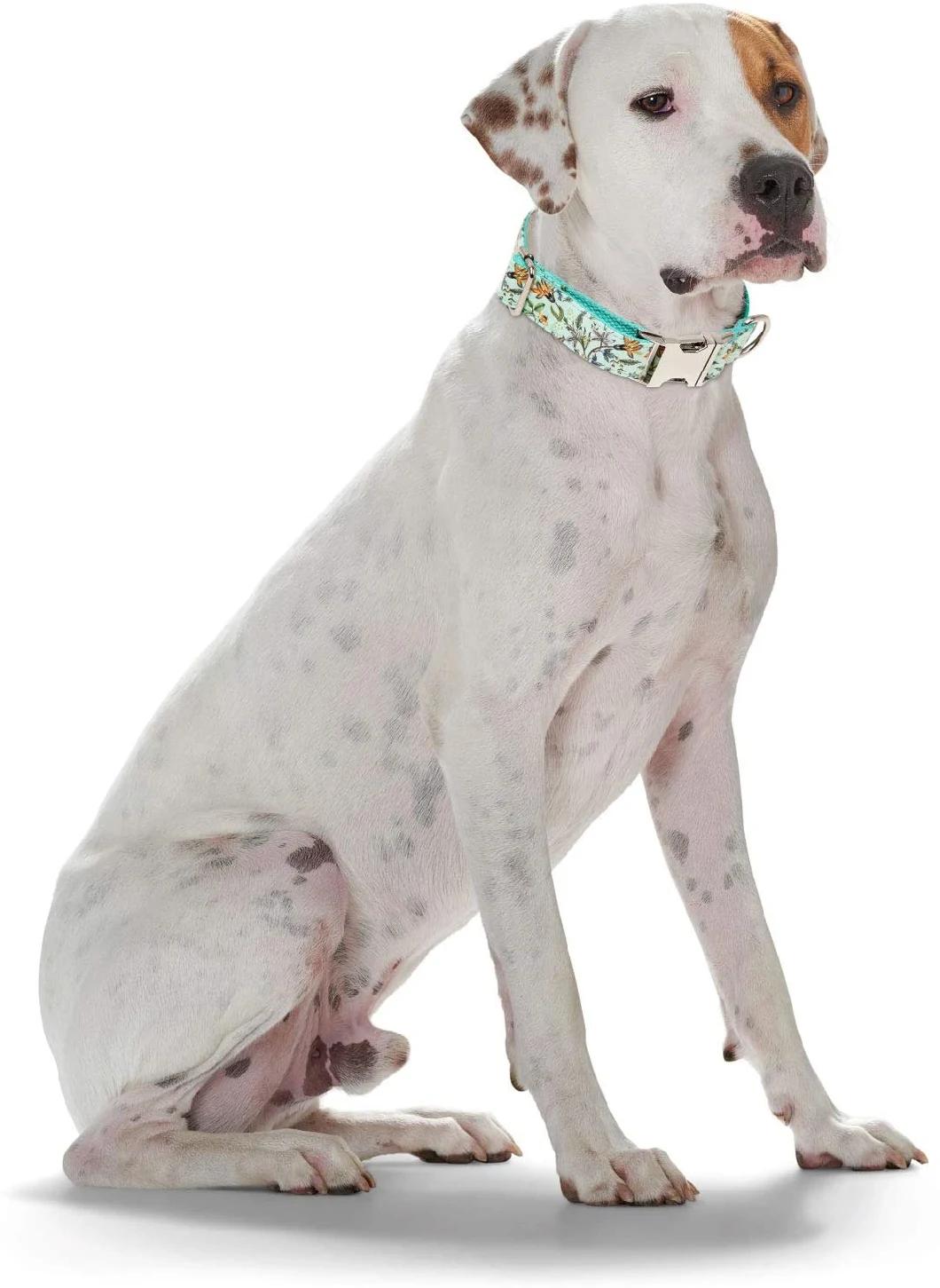 Comfortable and Adjustable Unique Design Pattern Dog Collar