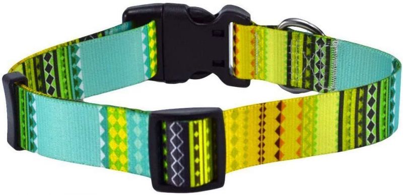 Easy to Clean Fashion Deisgn Custom Pattern Dog Collar