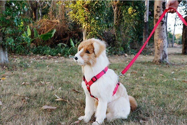 Low MOQ New Adjustable Pet Pattern Backpack Safety Vest Heavy Duty Soft Nylon Dog Harness