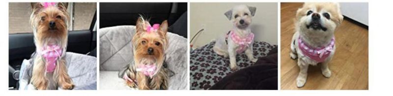 Fashion Puppy Harness for Pets Dog & Cat