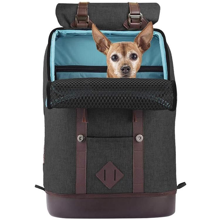 Airline Approved Travel Outdoor Pet Cat Carrier Backpack Waterproof Luxury Backpack Dog