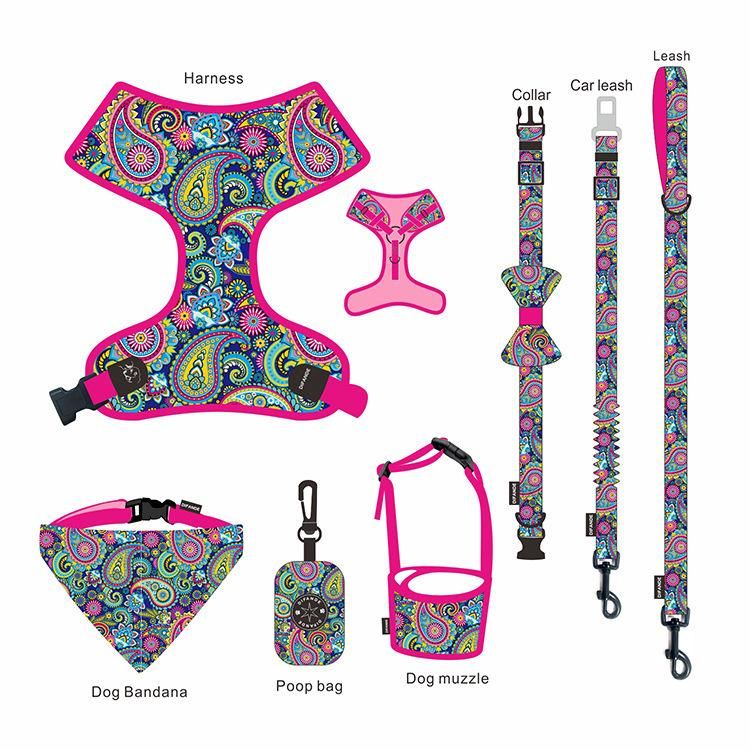 Hot New Product Fashion No Pull Pet Collar and Leash Set Adjustable Custom Dog Harness