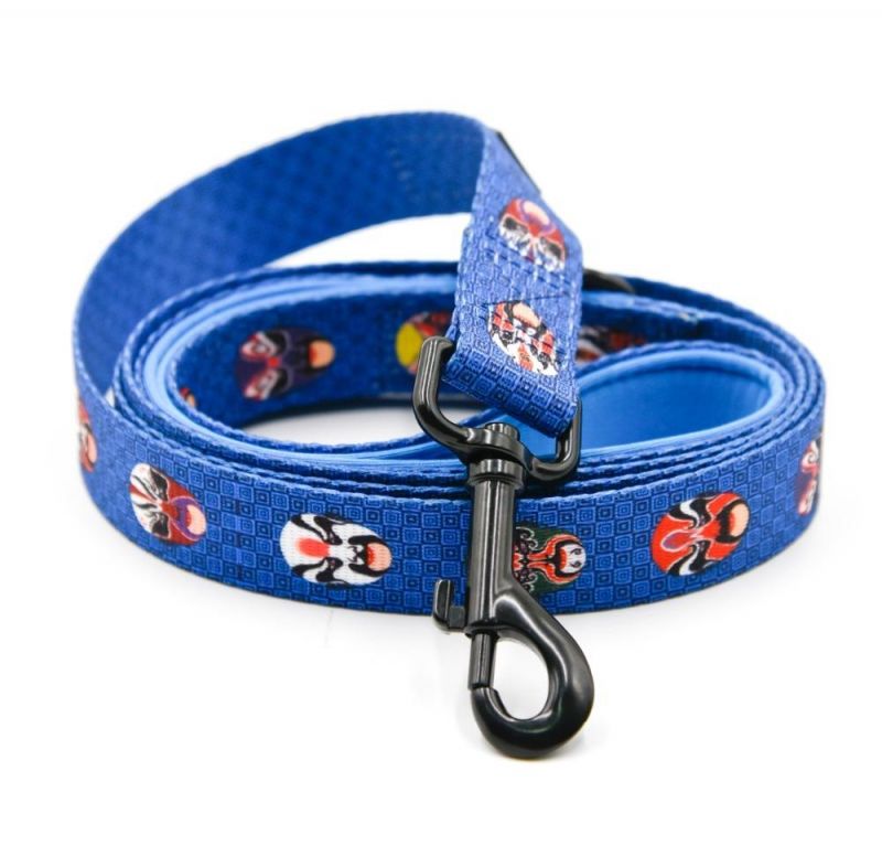 Sublimation Printed Soft Padding Pet Leash for Small, Medium, Large Dogs