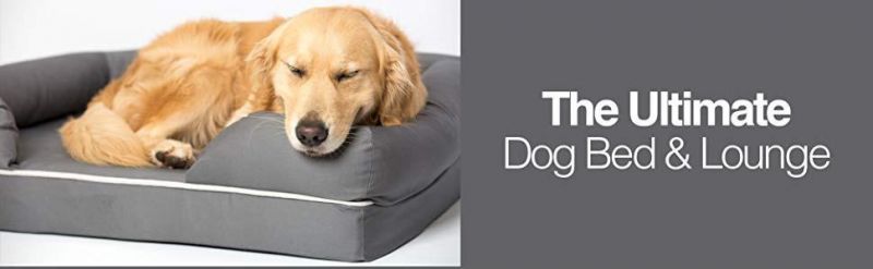 Orthopedic Dog Bed Lounge Sofa Removable Cover with 100% Suede 2.5"-5" Mattress Memory-Foam Premium Prestige Edition