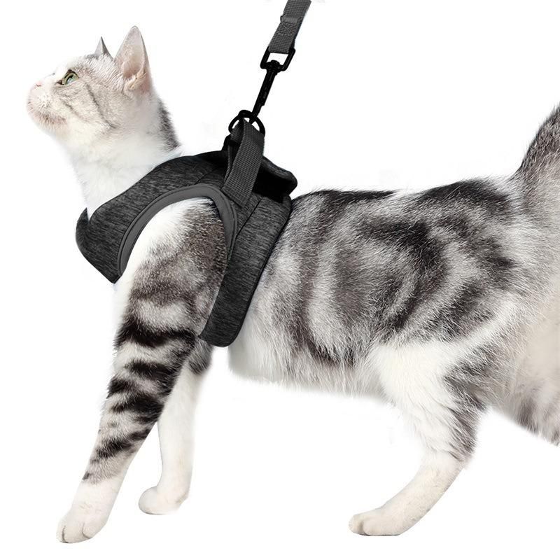 Soft Pet Accesspries Per Harness Durable Super Lightweight Pet Cat Harness Leash