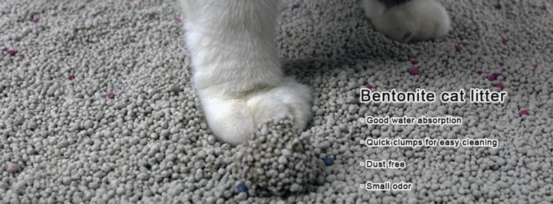 Low Price Best Cleaning Cat Litter Classic Original Bentonite Sand Cat Litter Granules