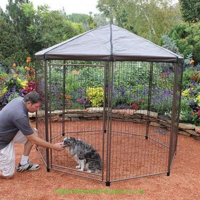 Easy Access Large Pet Cage Dog Kennel with Entry Door