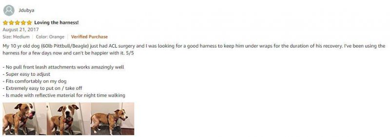 Easy on and off No Pull Training Harness with Front and Back Leash Attachments & Control Handle