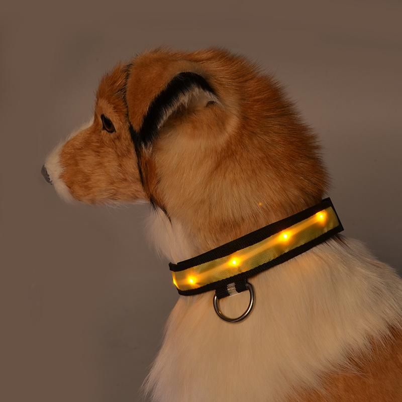 Nylon LED Pet Collar Night Safety Anti-Lost LED Dog Collar Pet Products