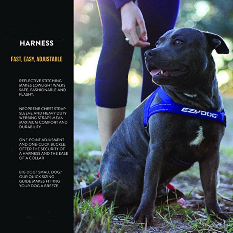 OEM All Kinds of Pet Products, Pet Accessories, Pet Supplier