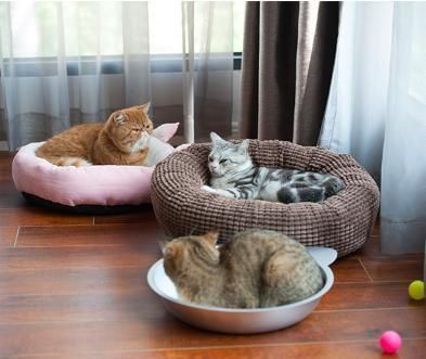 New Design Cat Summer Cool and Refreshing Bed Aluminum Mat Pot Ice Bed Foy Cat with Cat Face Design