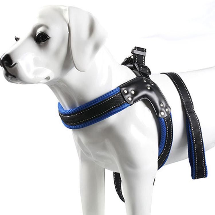Shining Colorful Pet Harness with Pet Leash Set