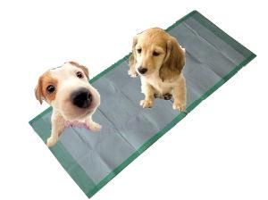 Disposable Pet Training Pads for Your Pets