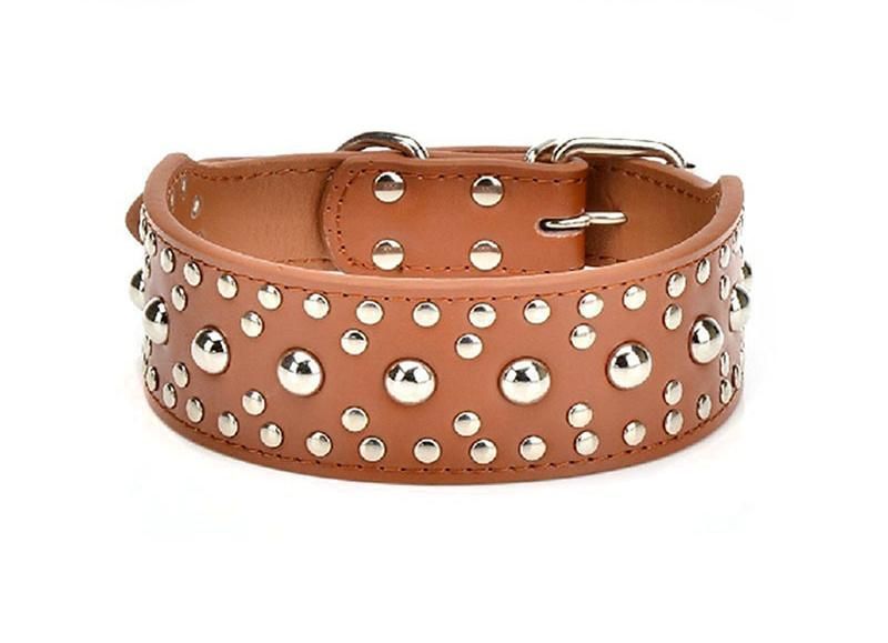 Large Pet Collar with Twinkling Rivet Studded