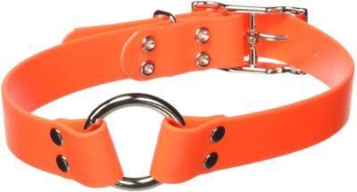 Orange 1-Inch by 22-Inch Waterproof Dog Collar