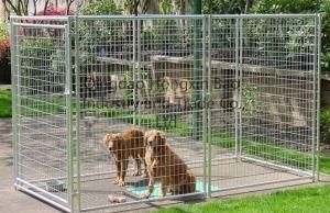 Galvanized Wire Mesh Cage Dog Kennel