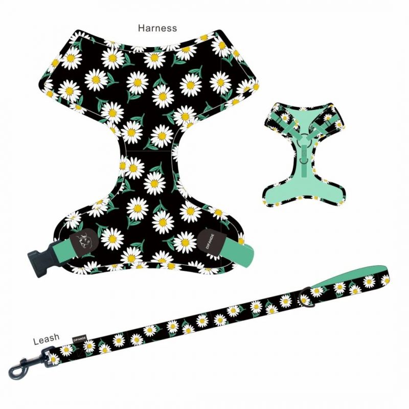 Factory Wholesale Cat Harnesses with Leashes for Your Noble Pets