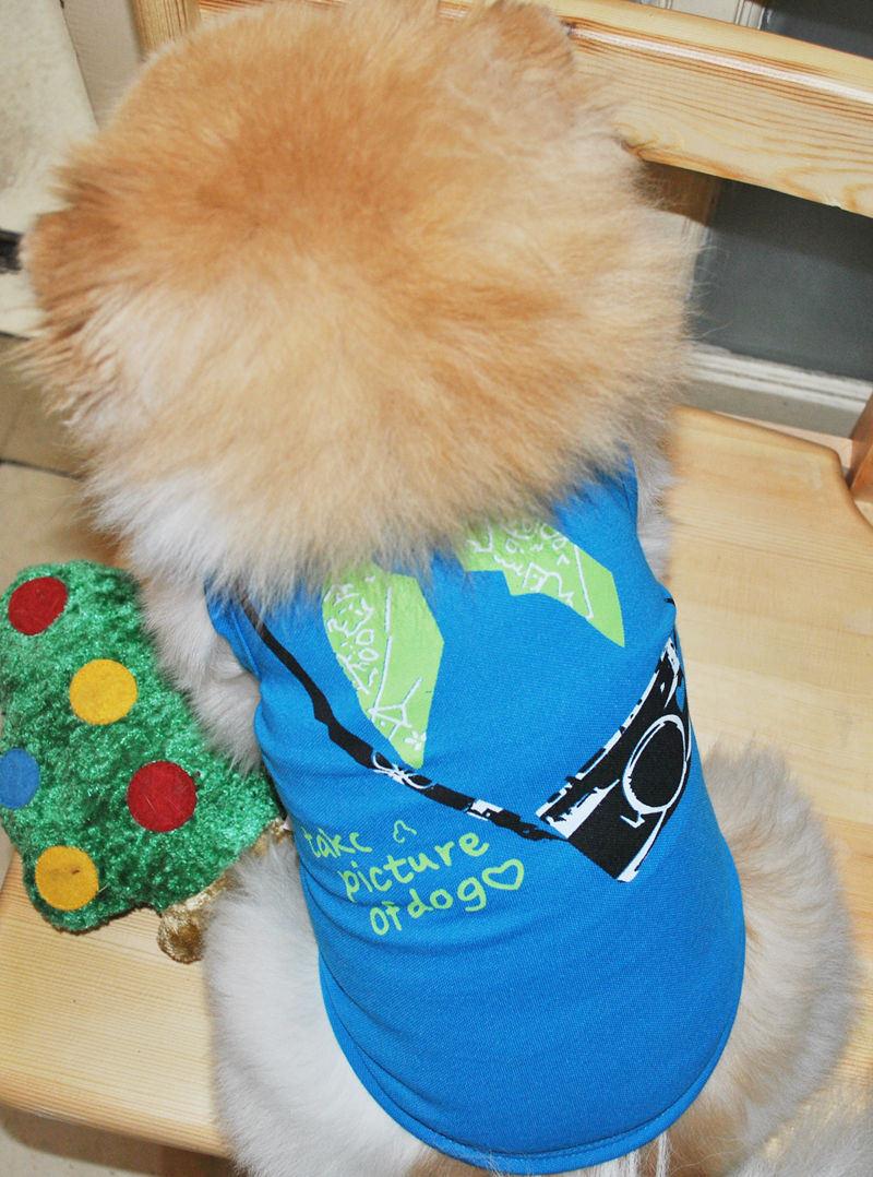 Hawaiian Style Cotton Pet Cats T-Shirt Dog Clothes Summer Printed Shirt for Small Medium Dogs