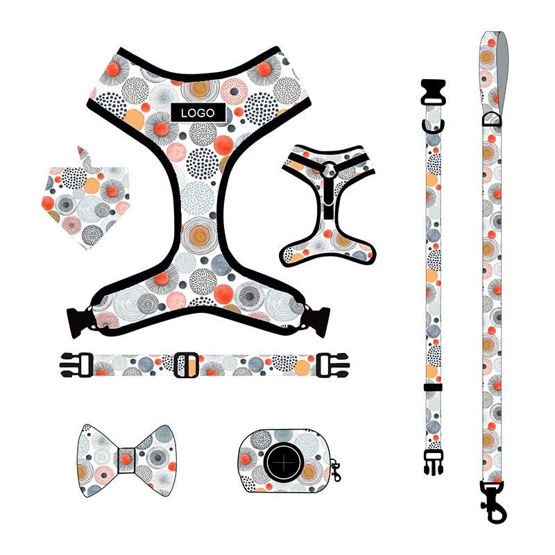 2021 Custom Logo Customized Pattern Pet Products Adjustable Soft Mesh Padded Reversible Dog Harness Set/Pet Accessories