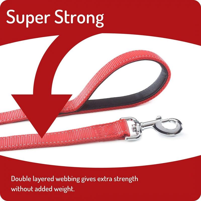Super Strong Double Layer Nylon Dog Leash with Fast Delivery