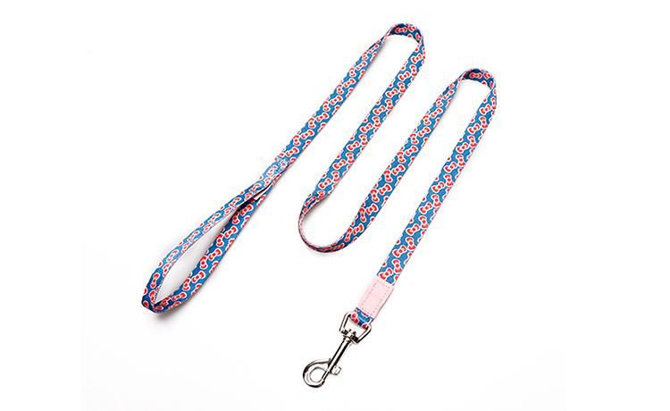 Fancy Training Running Strong Adjustable Custom Nylon Cute High Quality Dog Leash Pet