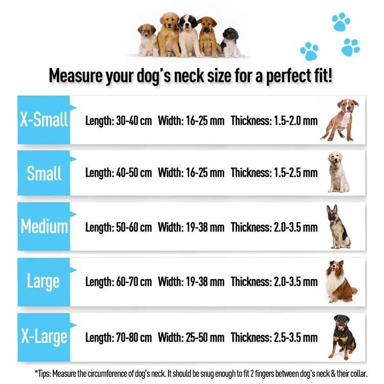 New Arrival Wholesale Custom Ultra-Comfort Waterproof Soft PVC Dog Leash