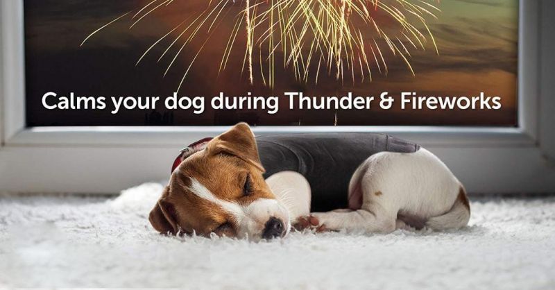 Vet Recommended Calming Solution Puppy Clothes Vest for Fireworks, Thunder, Travel, Separation