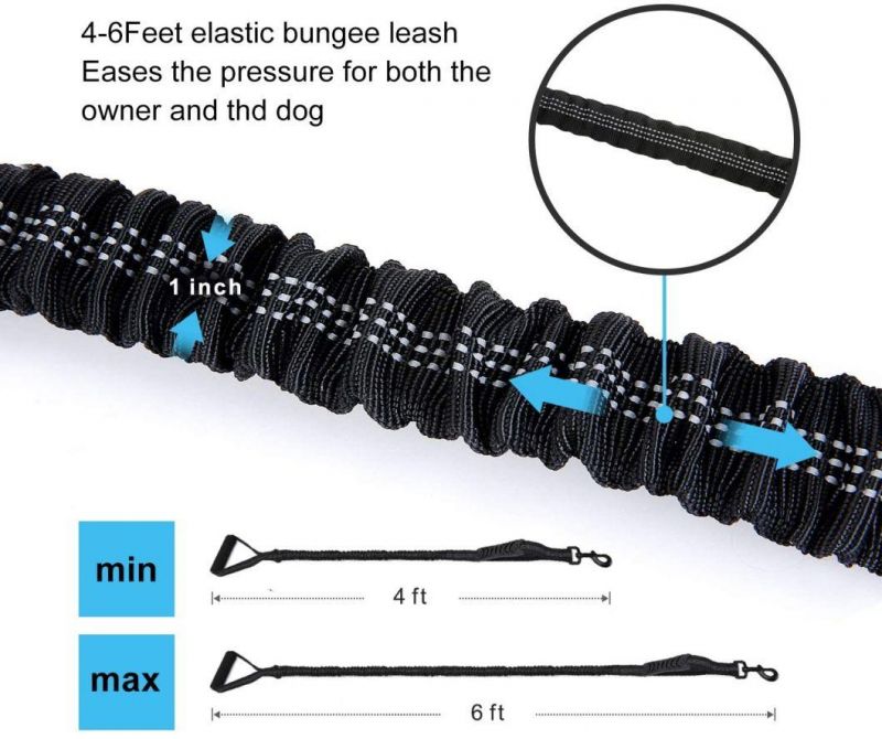 Dog Leash Shock Absorbing with Comfortable Padded Handle and Traffic Handle