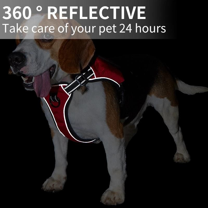 Amazon Hot Style Factory No Pull Dog Harness Adjustable Reflective Oxford Easy Control Dog Harness with Heavy Duty Dog Leash Set