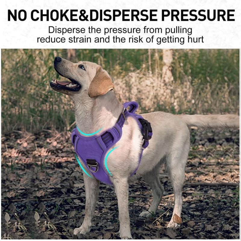 No Pull & No Choke Reflective Dog Harness with Custom Print
