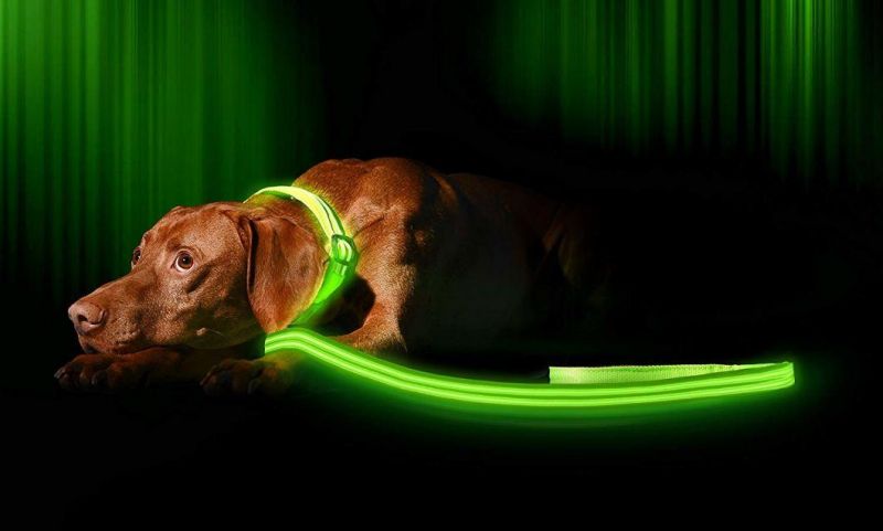 High Quality LED Dog Leash Available in 6 Colors & 2 Sizes - Makes Your Dog Visible, Safe & Seen