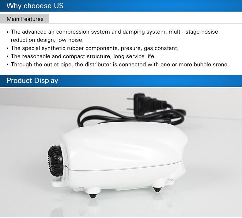 2 Nozzles Aquarium Air Pump with Air Flow Adjustable