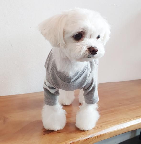 Fashion Pet T-Shirt Dog Clothing Plain Color Striped Sleeves Simple Pocket Pet Clothing