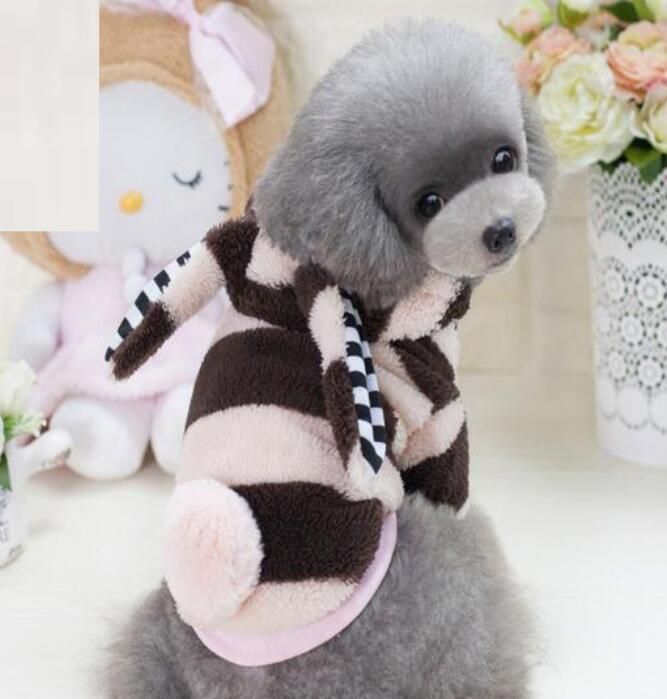 High Quality Dog Clothes for Rabbits