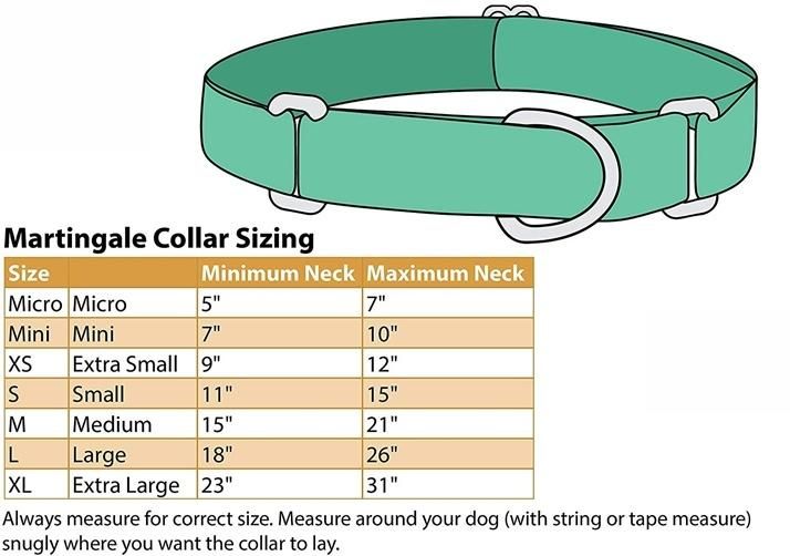 Nylon Personalized Dog Collars Training Pet Collars