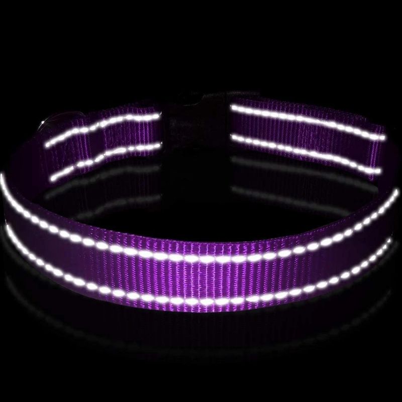Reflective Nylon Dog Collar with Matching Leash