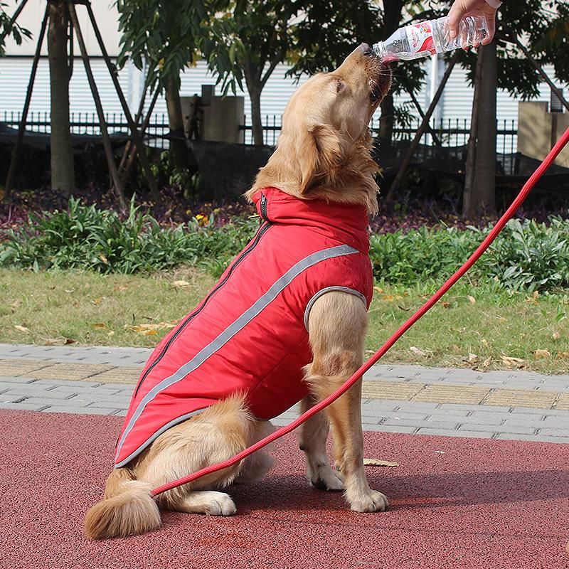 Waterproof Pet Dog Coat Winter Warm Dog Jacket Vest Reflective Sports Clothes with Harness Hole