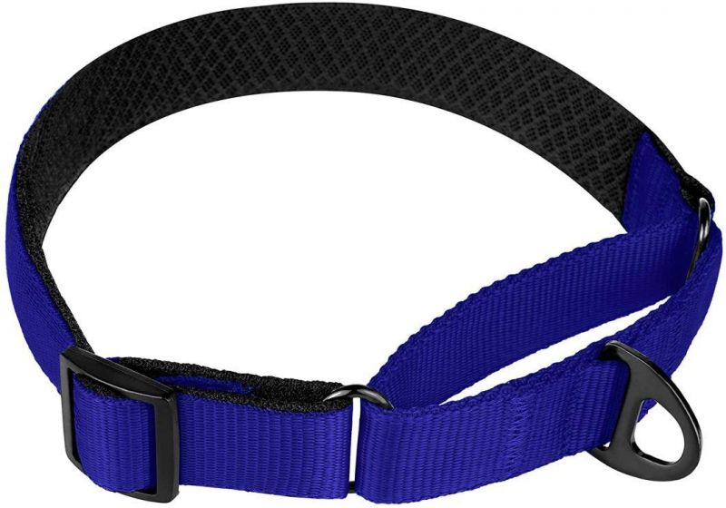 Soft Padded Comfortable Nylon Martingale Dog Collar