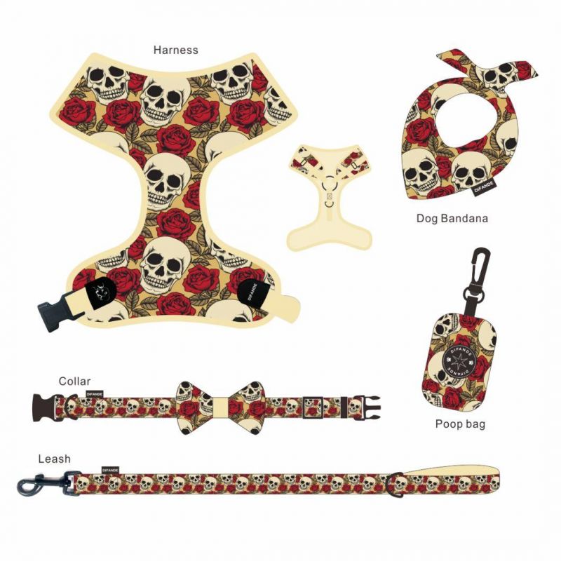 Classical Soft Padded Dog Collar and Leash for Pet Cat Dog Harness Leash Collar Set