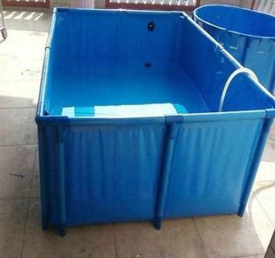 Big Blue Foldable Fish Tank