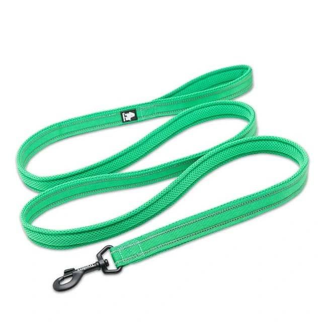 Easy Control Fashion Accessory Training Pet Leash Lightweight